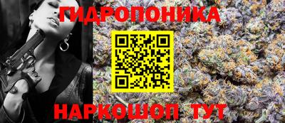 твердый Ставрополь