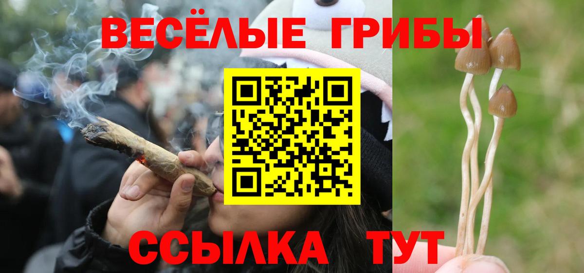 Псилоцибиновые грибы Magic Shrooms Ахтубинск