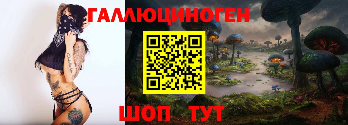 купить   Псилоцибиновые грибы GOLDEN TEACHER  Вход с VPN  Ахтубинск 